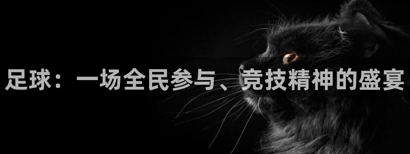 球王会体育下载安装：足球：一场全民参与、竞技精神的盛宴