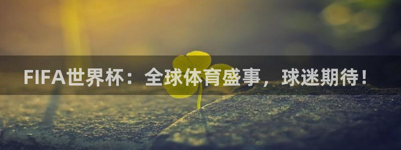 球王会体育全站app：FIFA世界杯：全球体育盛事，球迷期待