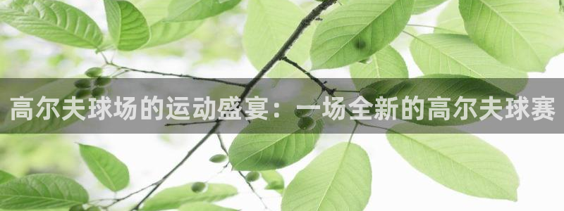 球王会体育app下载：高尔夫球场的运动盛宴：一场全新的高尔夫