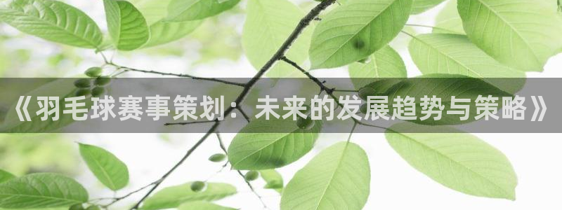 球王会体育网站：《羽毛球赛事策划：未来的发展趋势与策略》