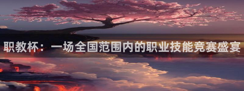 球王会体育app官网入口下载安装：职教杯：一场全国范围内的职
