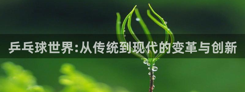球王会体育下载：乒乓球世界:从传统到现代的变革与创新