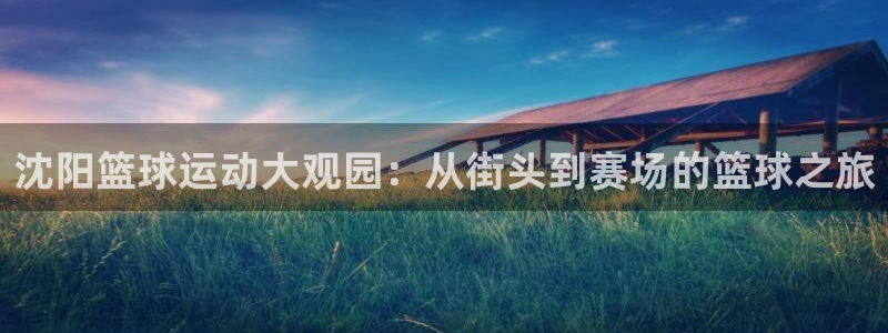 球王会体育app官网入口下载：沈阳篮球运动大观园：从街头到赛