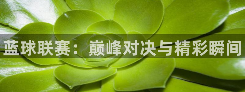 球王会体育app官网入口下载：蓝球联赛：巅峰对决与精彩瞬间