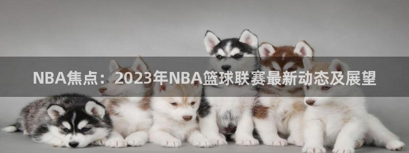 球王会体育app下载官网最新版：NBA焦点：2023年NBA